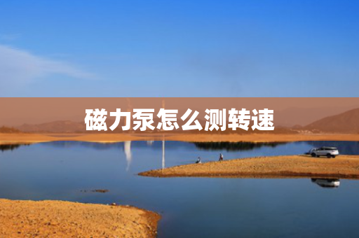 磁力泵怎么测转速