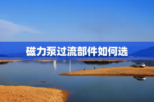 磁力泵过流部件如何选