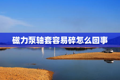 磁力泵轴套容易碎怎么回事