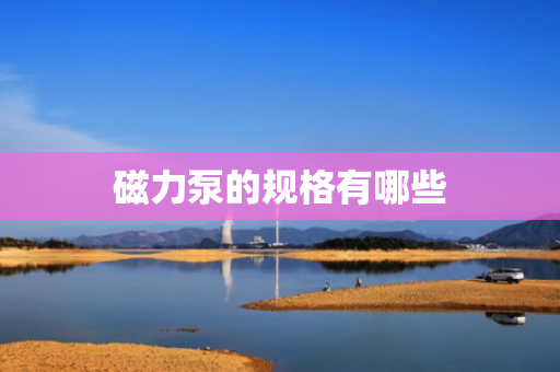 磁力泵的规格有哪些