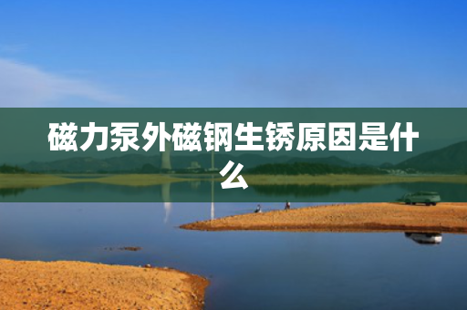 磁力泵外磁钢生锈原因是什么