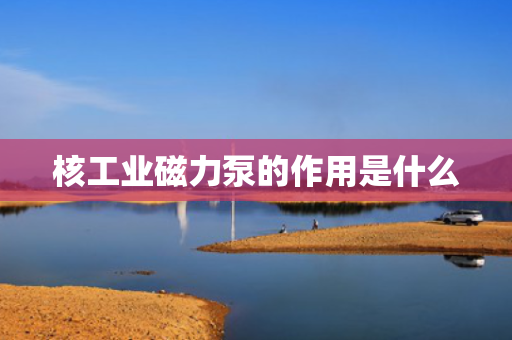 核工业磁力泵的作用是什么