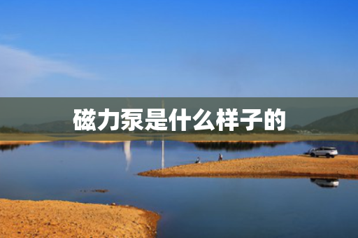 磁力泵是什么样子的