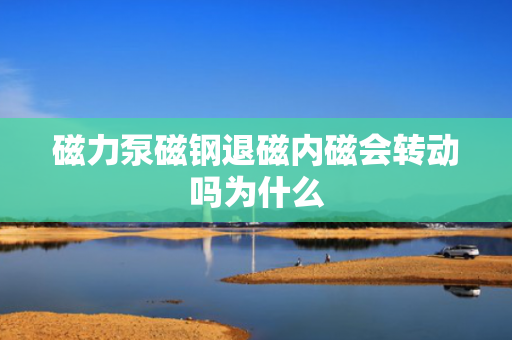 磁力泵磁钢退磁内磁会转动吗为什么