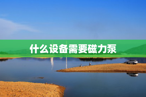 什么设备需要磁力泵