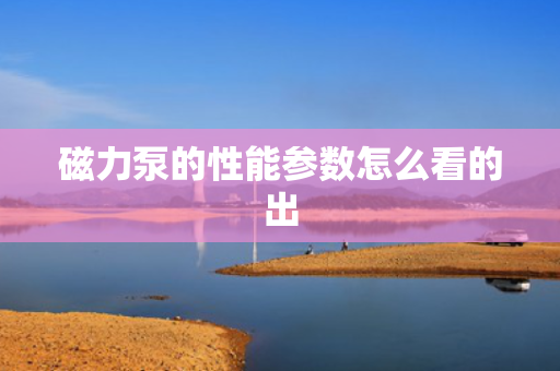 磁力泵的性能参数怎么看的出