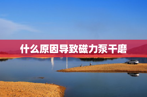 什么原因导致磁力泵干磨