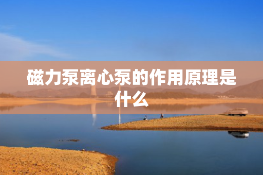 磁力泵离心泵的作用原理是什么