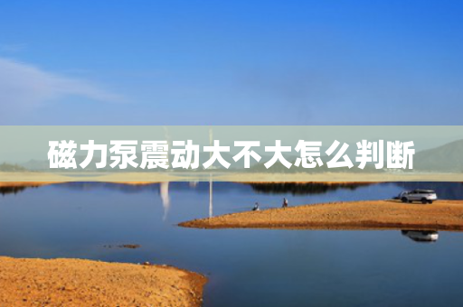 磁力泵震动大不大怎么判断