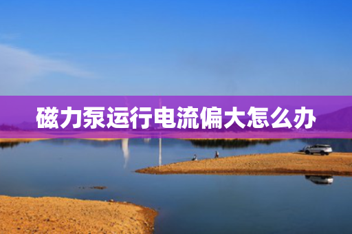 磁力泵运行电流偏大怎么办