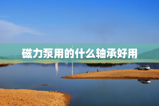 磁力泵用的什么轴承好用