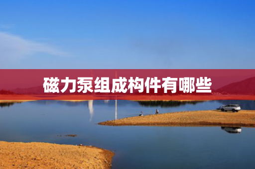 磁力泵组成构件有哪些