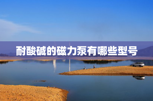 耐酸碱的磁力泵有哪些型号