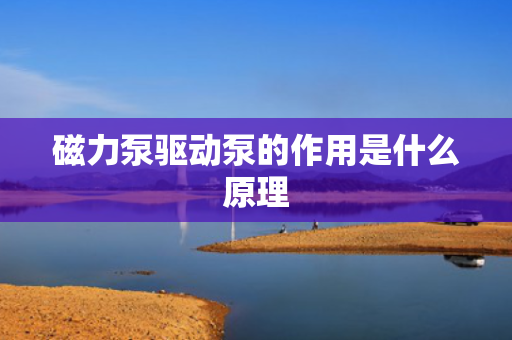 磁力泵驱动泵的作用是什么原理