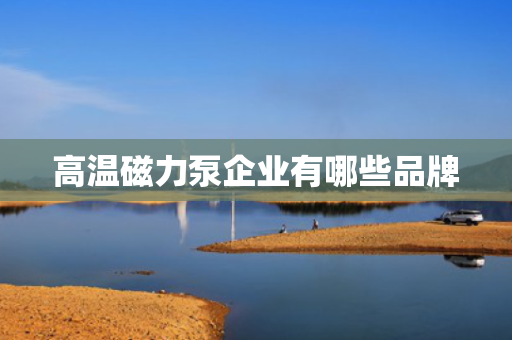 高温磁力泵企业有哪些品牌