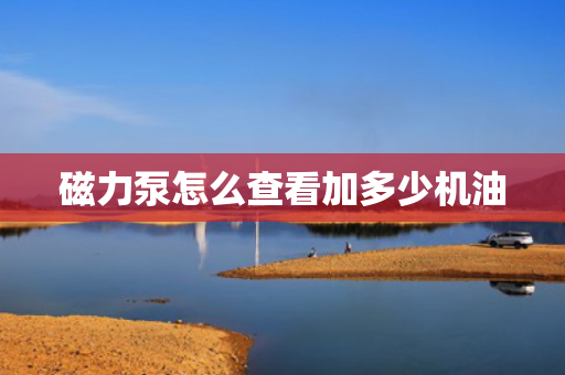 磁力泵怎么查看加多少机油
