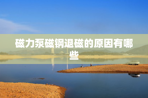 磁力泵磁钢退磁的原因有哪些
