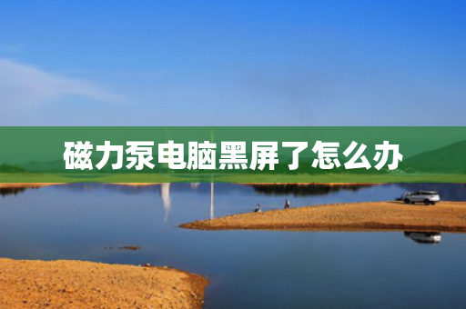 磁力泵电脑黑屏了怎么办