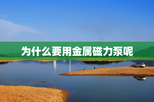 为什么要用金属磁力泵呢