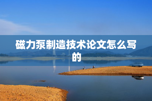 磁力泵制造技术论文怎么写的