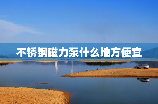 不锈钢磁力泵什么地方便宜