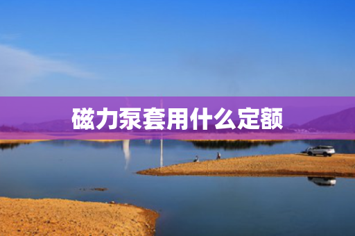 磁力泵套用什么定额