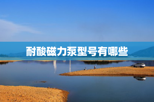 耐酸磁力泵型号有哪些