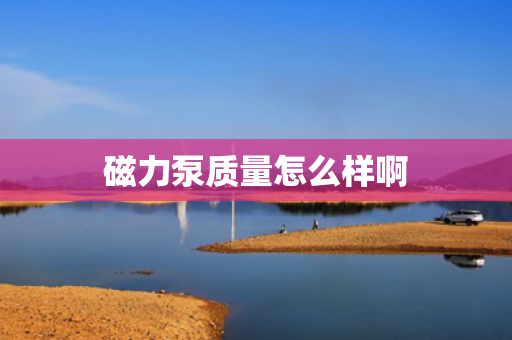 磁力泵质量怎么样啊
