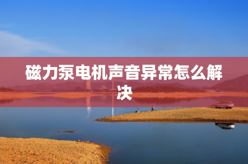 磁力泵电机声音异常怎么解决