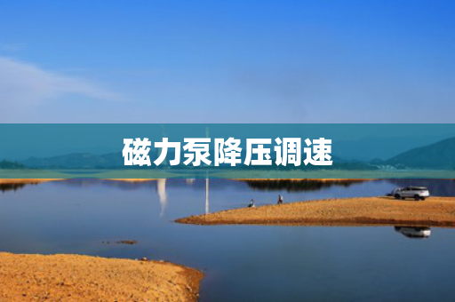 磁力泵降压调速