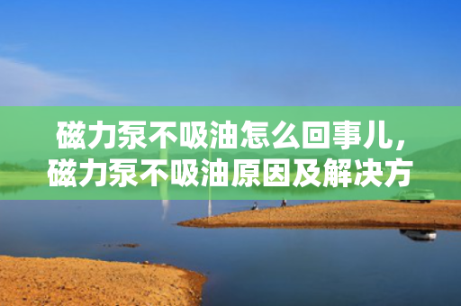 磁力泵不吸油怎么回事儿，磁力泵不吸油原因及解决方案