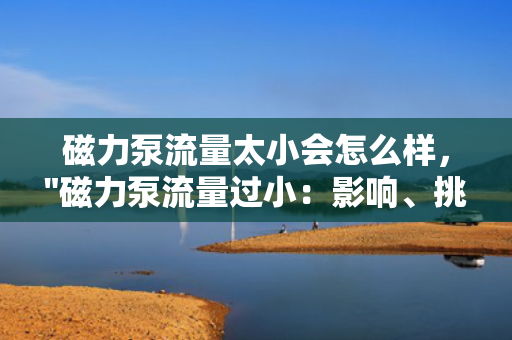 磁力泵流量太小会怎么样，