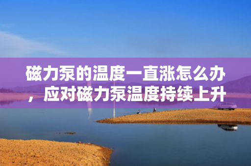 磁力泵的温度一直涨怎么办，应对磁力泵温度持续上升的有效措施