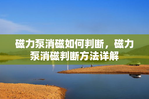 磁力泵消磁如何判断，磁力泵消磁判断方法详解
