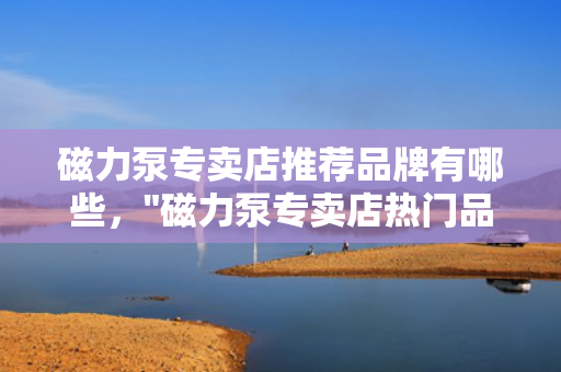 磁力泵专卖店推荐品牌有哪些，