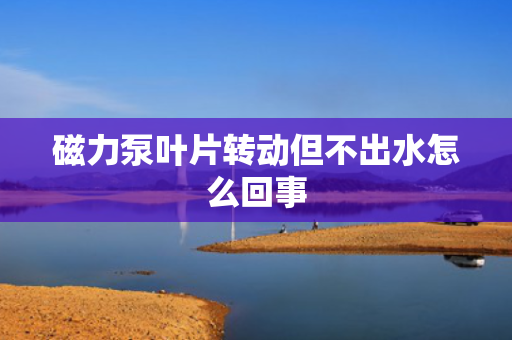 磁力泵叶片转动但不出水怎么回事