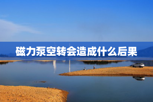 磁力泵空转会造成什么后果