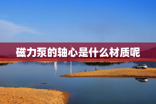 磁力泵的轴心是什么材质呢