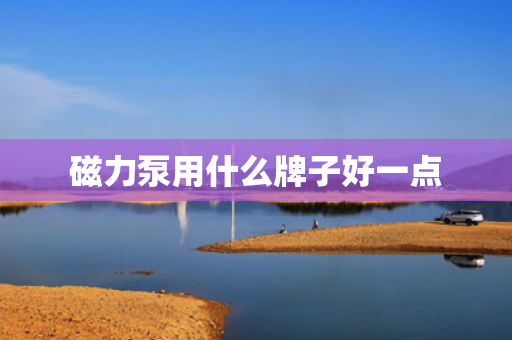 磁力泵用什么牌子好一点
