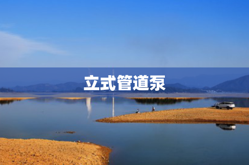 立式管道泵
