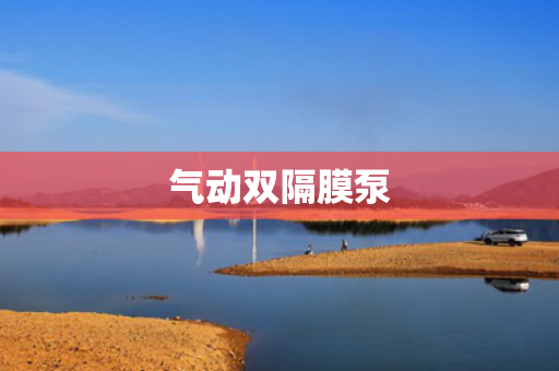 气动双隔膜泵