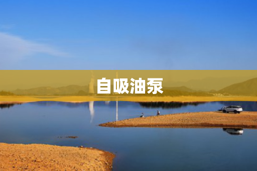 自吸油泵