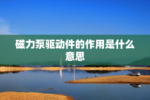 磁力泵驱动件的作用是什么意思
