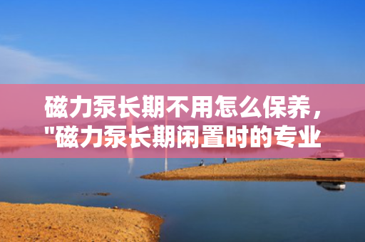 磁力泵长期不用怎么保养，