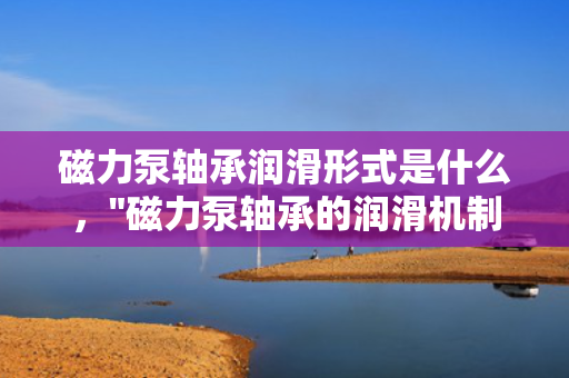 磁力泵轴承润滑形式是什么，