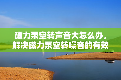 磁力泵空转声音大怎么办，解决磁力泵空转噪音的有效方法
