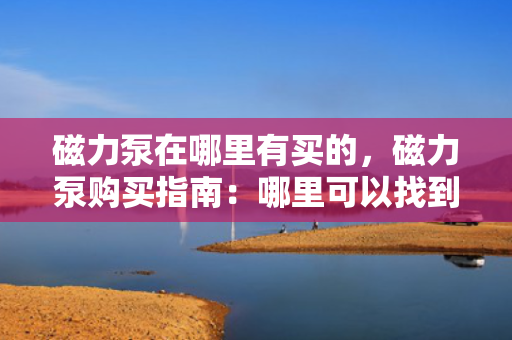 磁力泵在哪里有买的，磁力泵购买指南：哪里可以找到磁力泵的销售点？