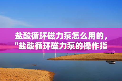 盐酸循环磁力泵怎么用的，