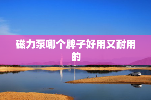 磁力泵哪个牌子好用又耐用的