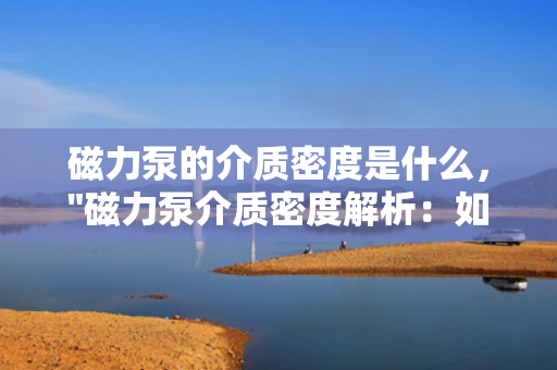 磁力泵的介质密度是什么，